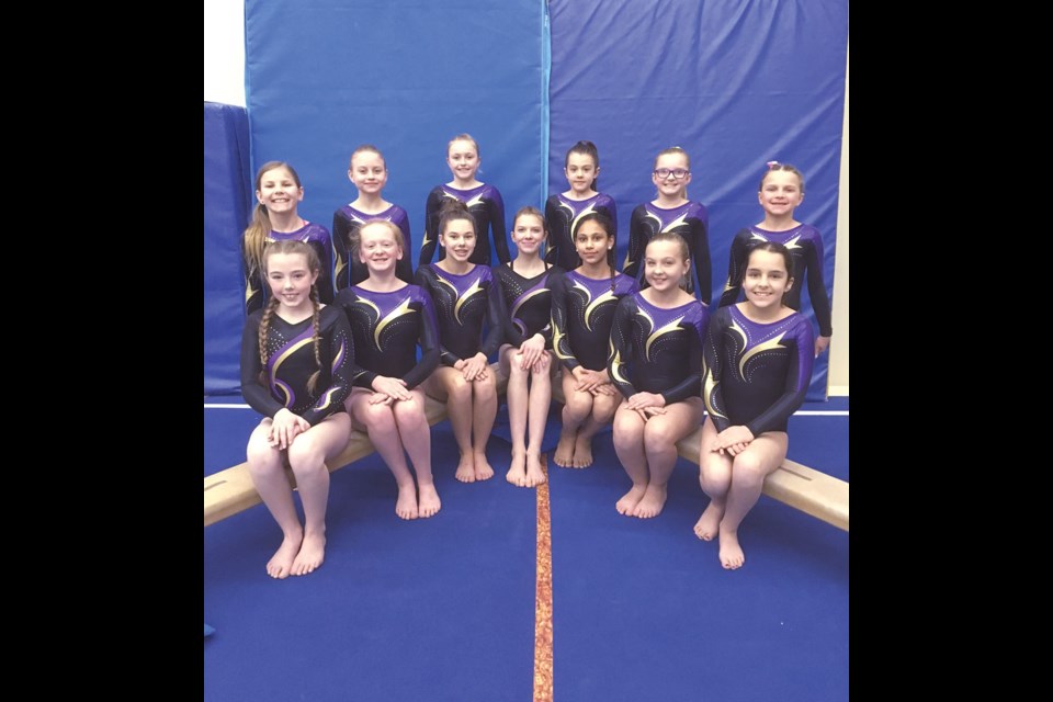 Sitting, from left, Rylie Scott, Ashley Frostad, Tierra Fichter, Abby Krupka, Zoey Thompson, Kelsey Kowalchuk and Haley Bonokoski; standing, from left, Lila Hale, Haley Murphy, Cammy Henry, Presley Hollingshead, Sadie Young and Abbigail Jones. Missing from photo: Presley McLean