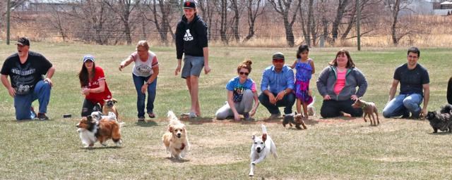 Dog races