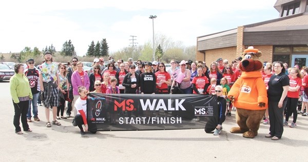 MS Walk