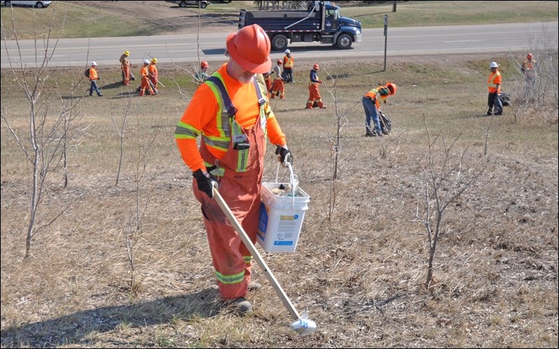 Cleanup Day 2018 took place in North Battleford Thursday. City crews and volunteers took part in the beautification effort, with a good chunk of the activity taking place along Highways 4 and 16, including King Hill. At noon hour, volunteers enjoyed free burgers at the fire hall.Photos by John Cairns