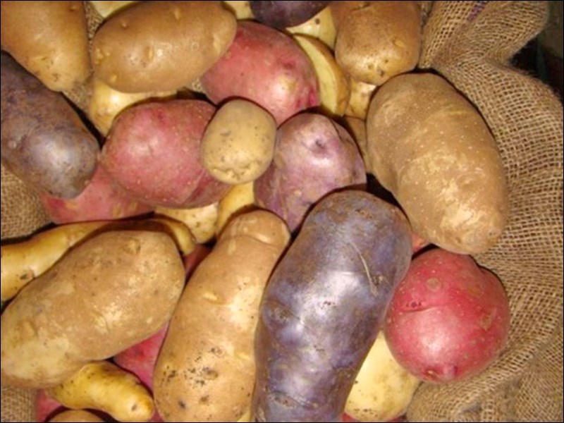 potatoes