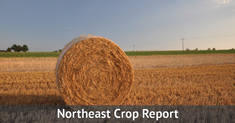 NE Crop Report