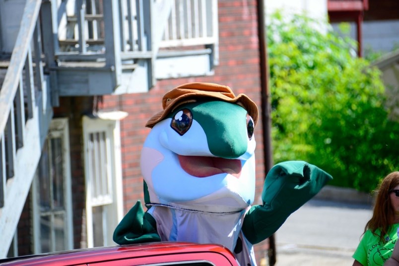 teddy trout
