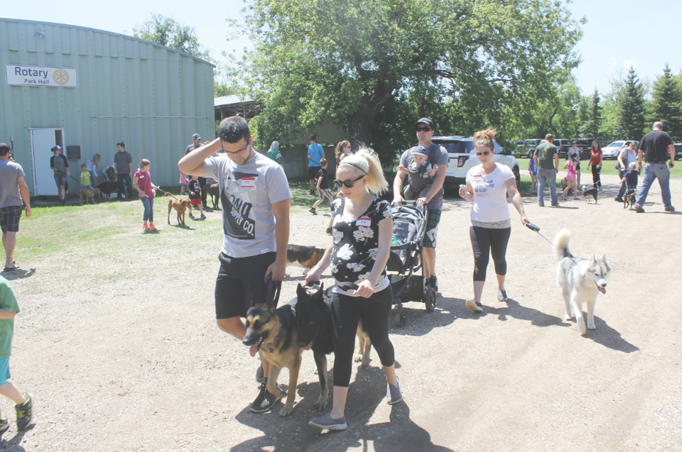Dog jog