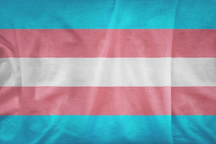 trans flag