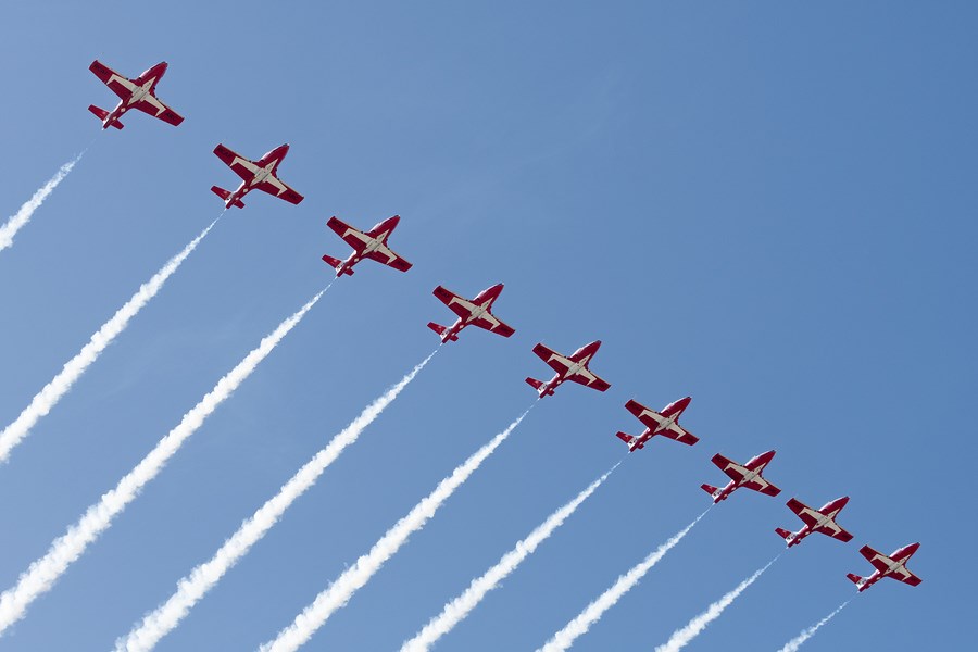 snowbirds