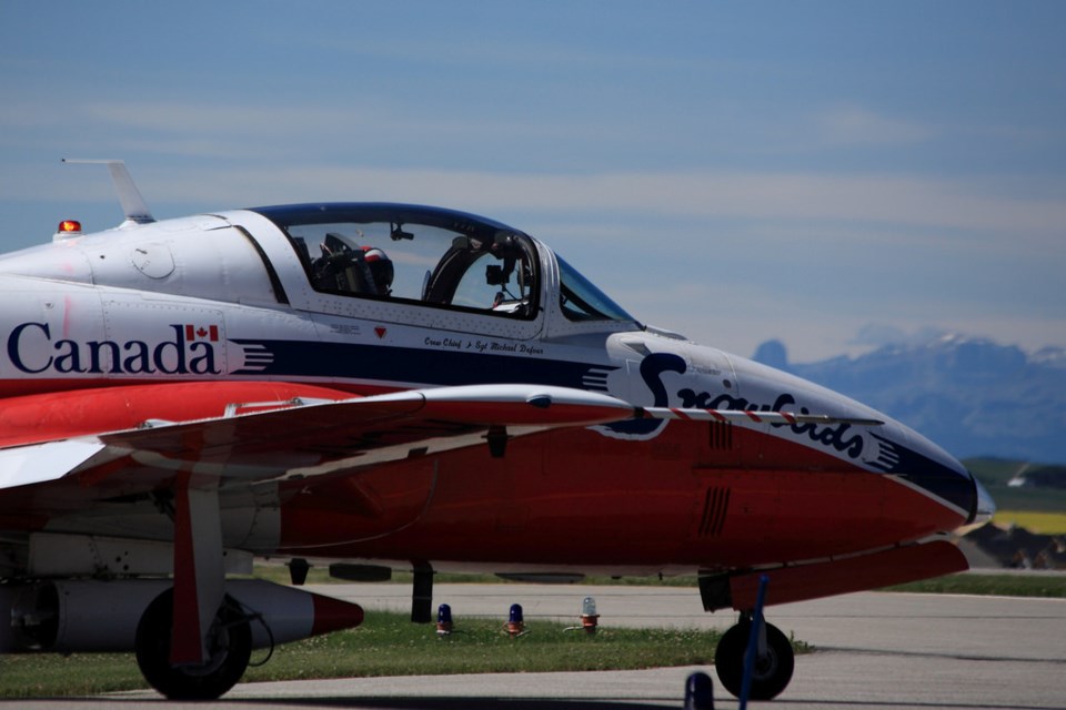 snowbird