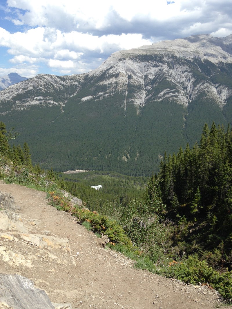 rockies