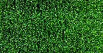 astroturf