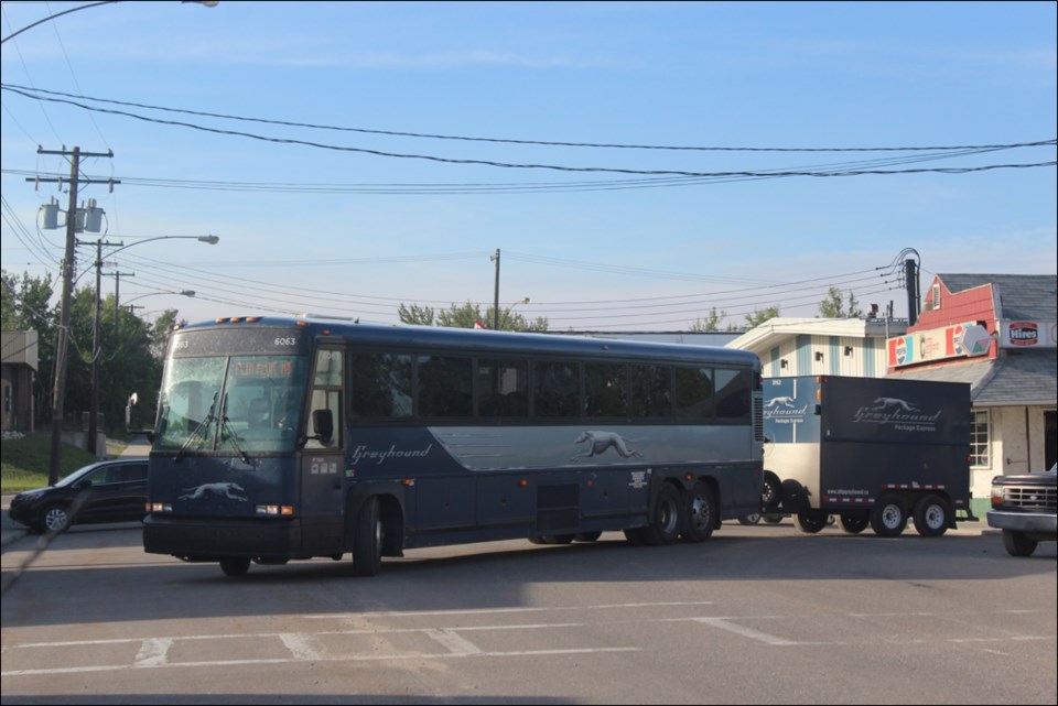 greyhound