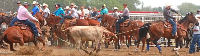 Team roping