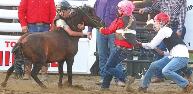 Midale wild pony races