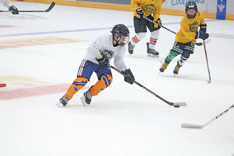 Minor Hockey Camp