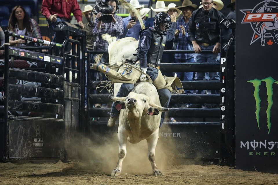 Bull Riding