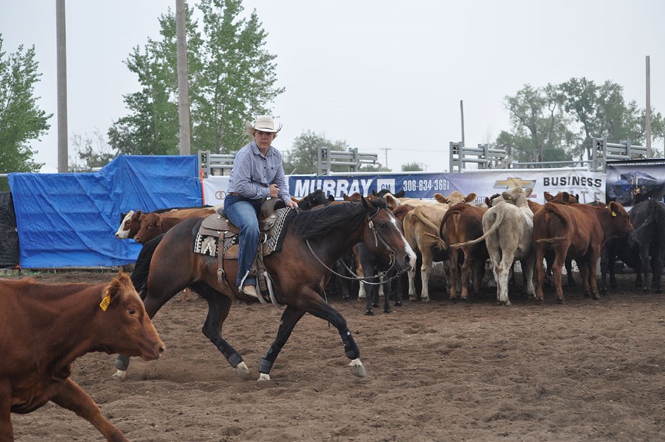 Cutting horse