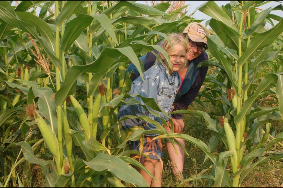 Tacey Goodsman, right, of Preeceville and her niece Vidalia Venhaastert of Tisdale had fun making their way through the corn maze located on the outskirts of Preeceville.