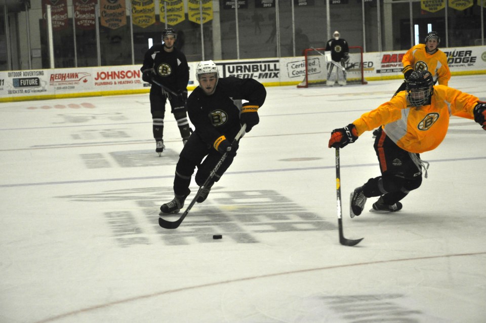 Bruins camp