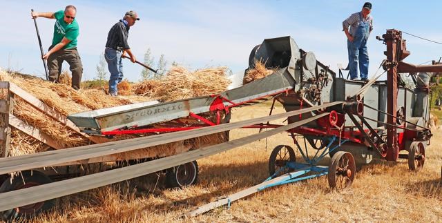 Griffin threshing