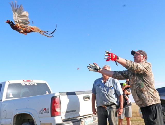 Bird release