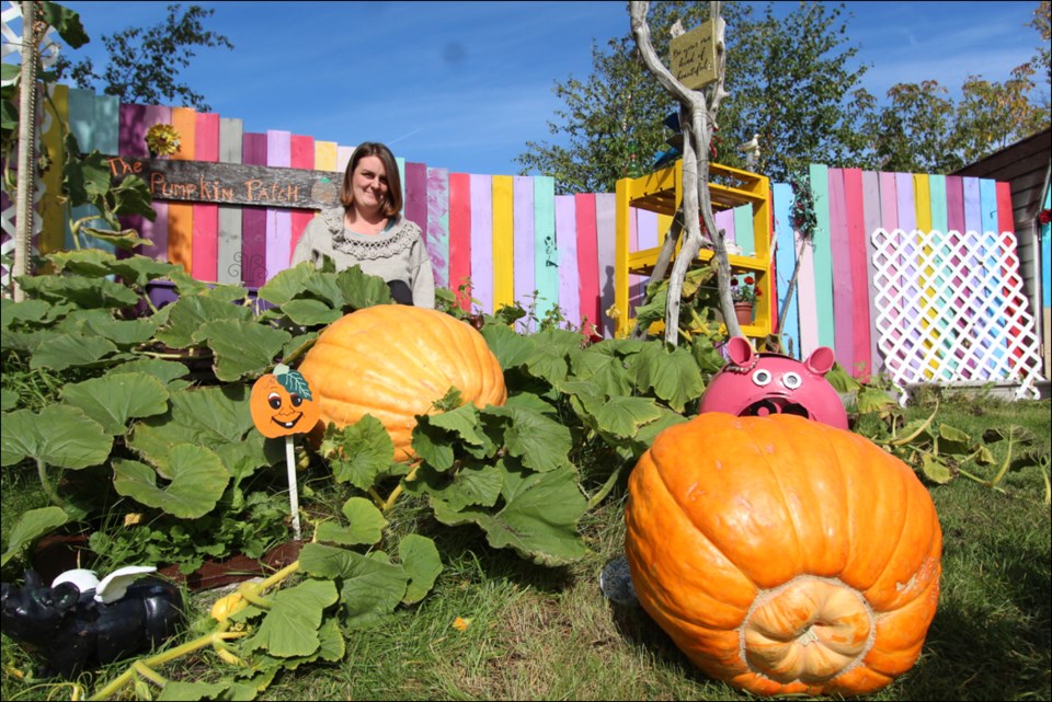 pumpkins