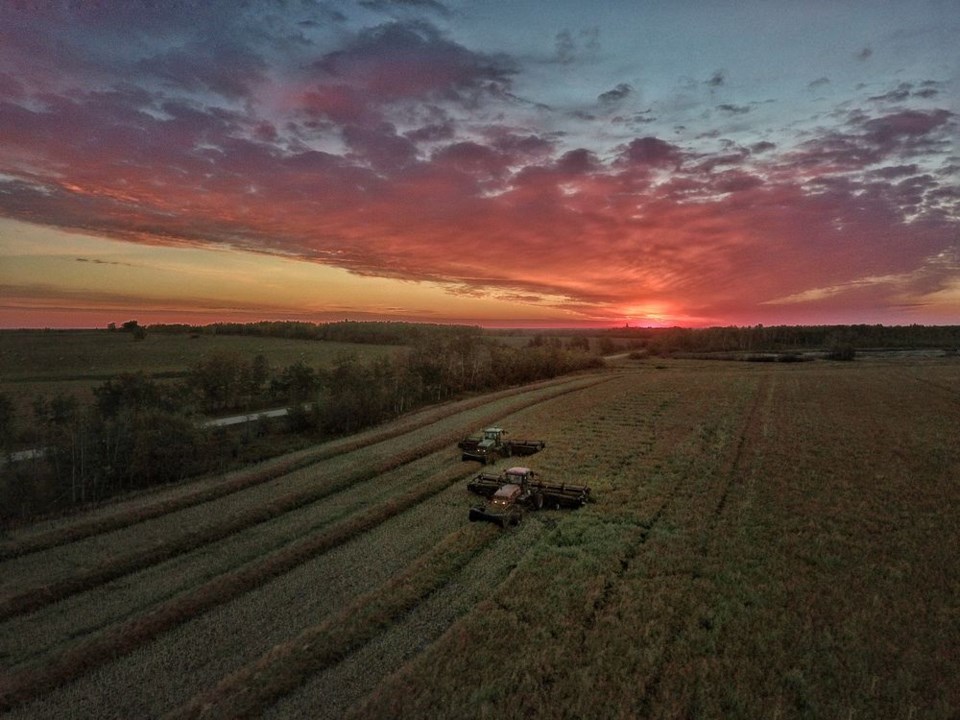 Fundraiser Swathing Field