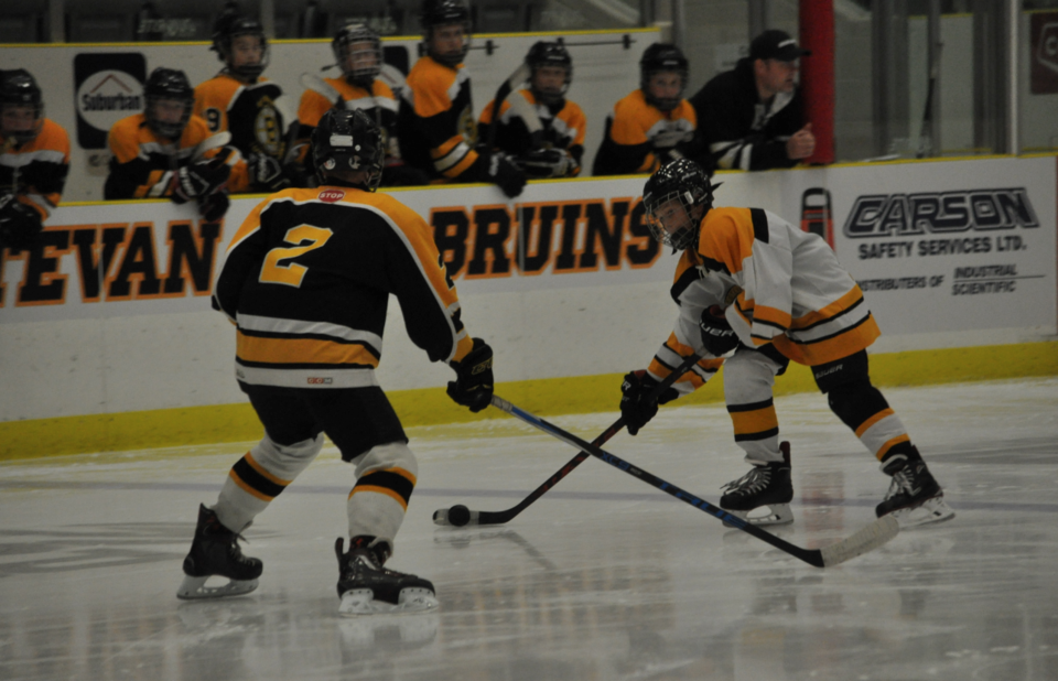 Peewee Bruins