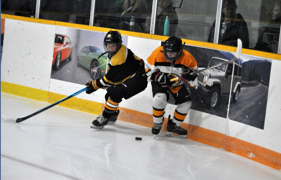 Peewee hockey