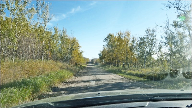 fall rural scene