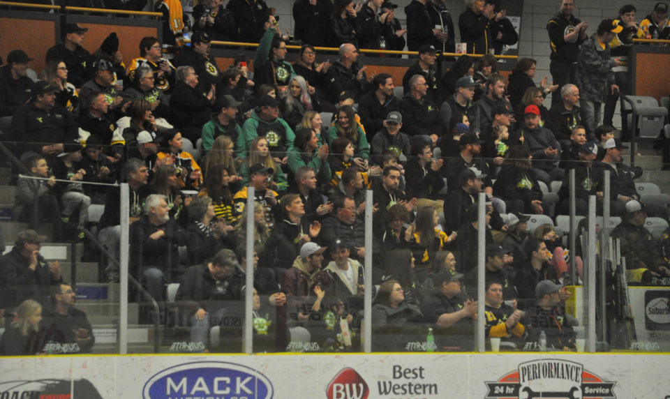 Bruins crowd