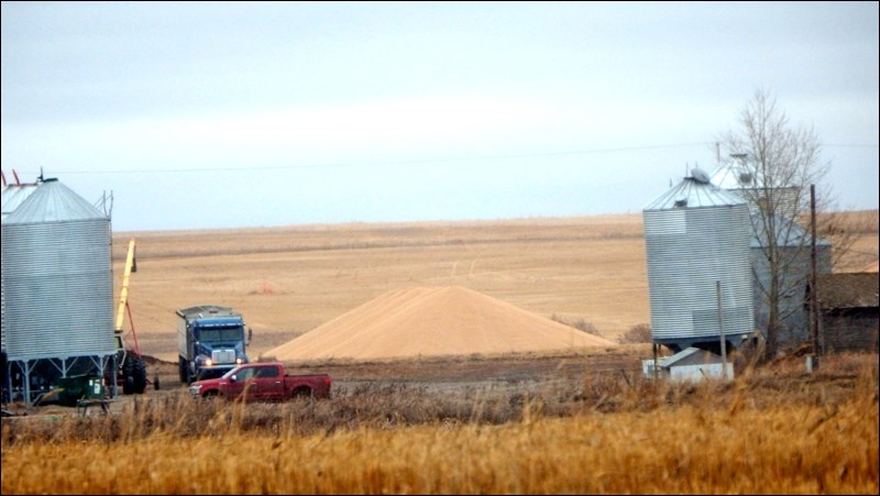 grain pile