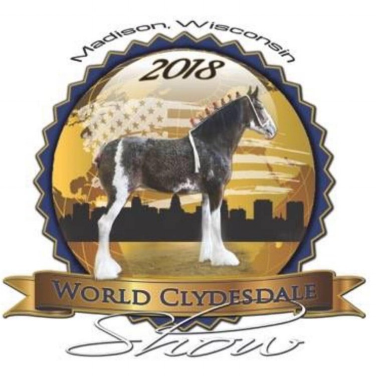 Clydesdales show