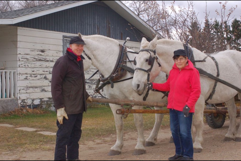 Marge Reynolds, right, enjoyed the opportunity to pet a team of horses with Walter Hughes at his farm on October 19, bringing back many memories for her.