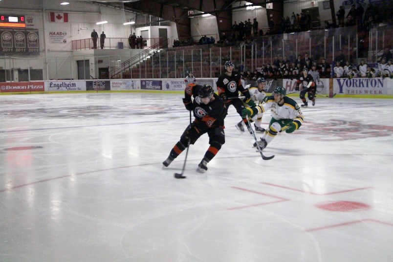 Yorkton Terriers