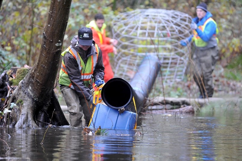 The flow device is floated into place in the beaver pond that's formed in Suter Brook creek.