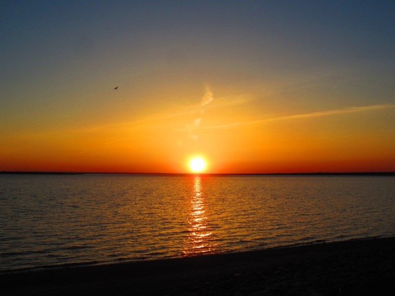 Lake Diefenbaker.