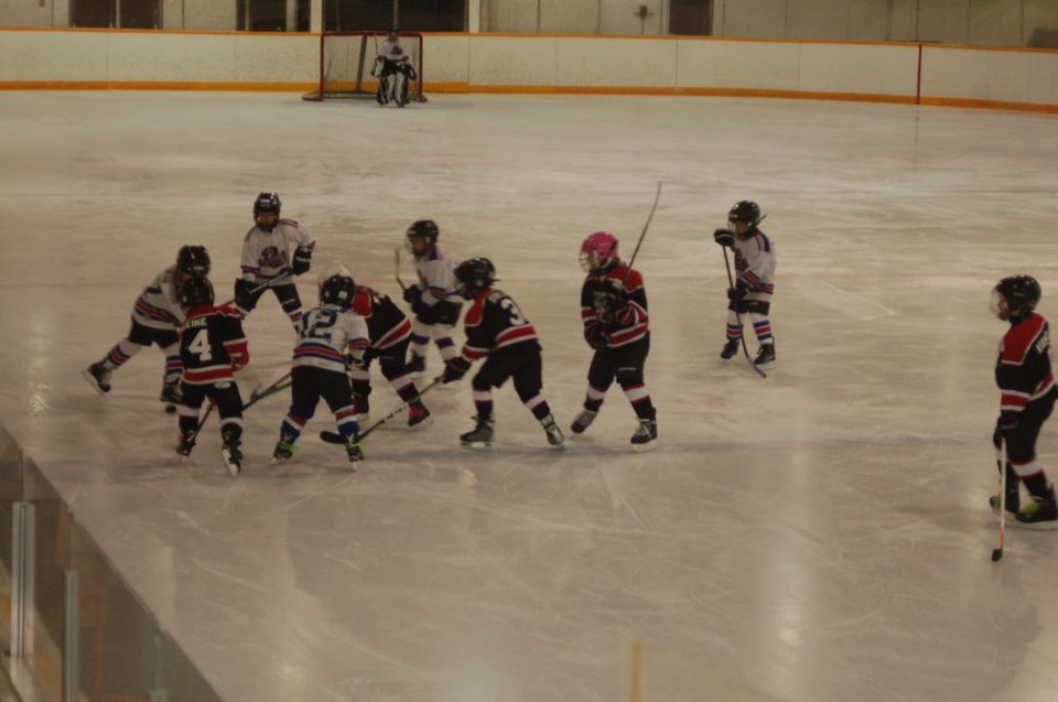 Novice Game