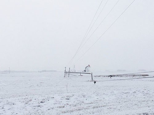 In many areas power poles even snapped and fell to the ground.