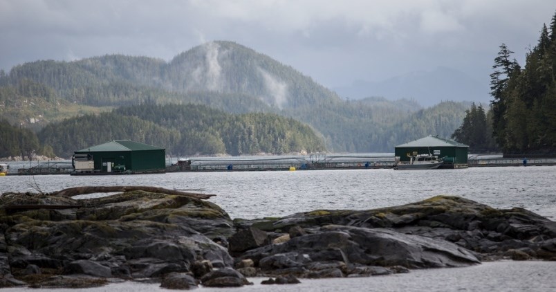 Fish Farms
