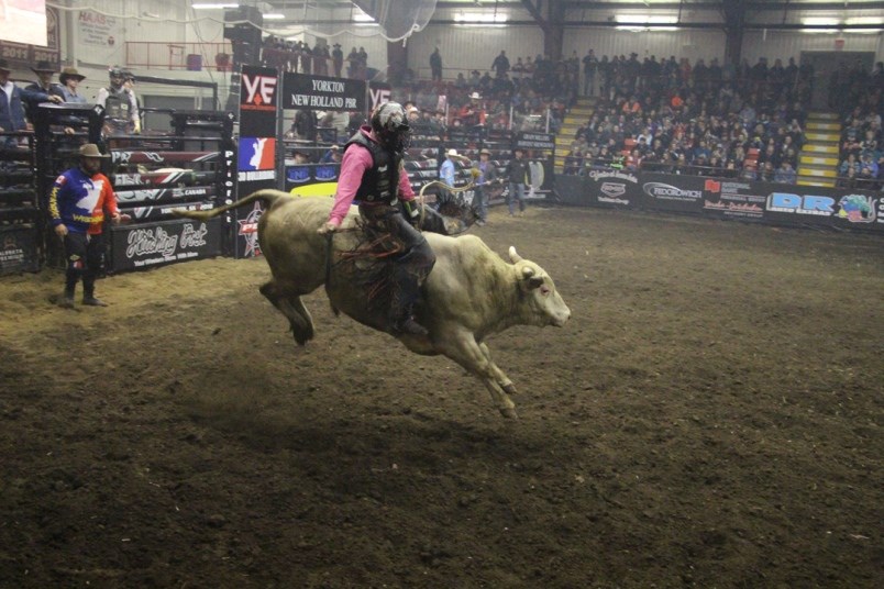 Bull ride