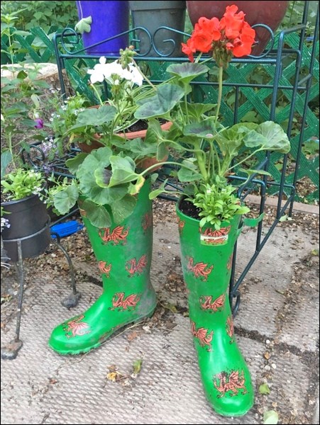 Boot planter.