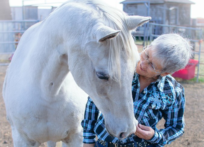 Horse Rescue