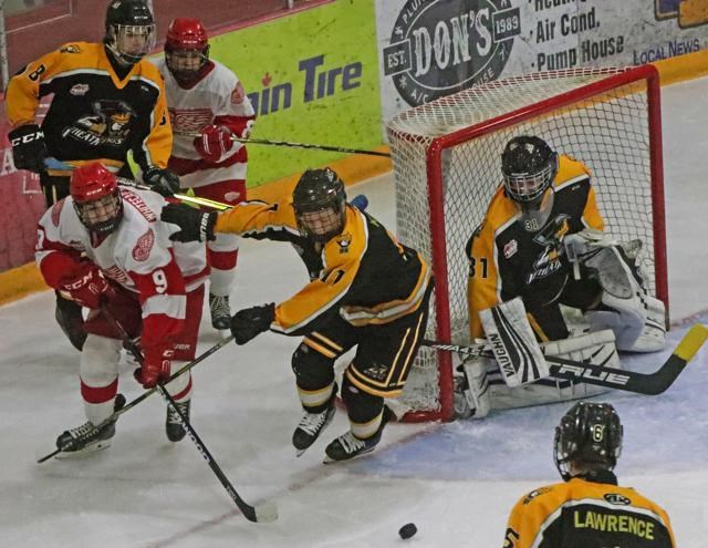 Minor hockey action