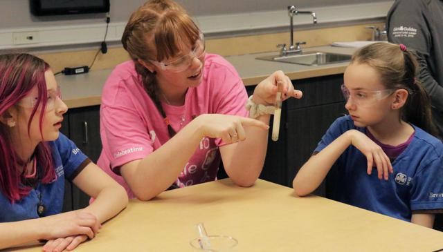 Brownies do science