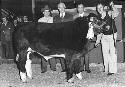 The Hookenson farm competed at the Royal cattle show in Toronto many times, starting in the 1960’s.