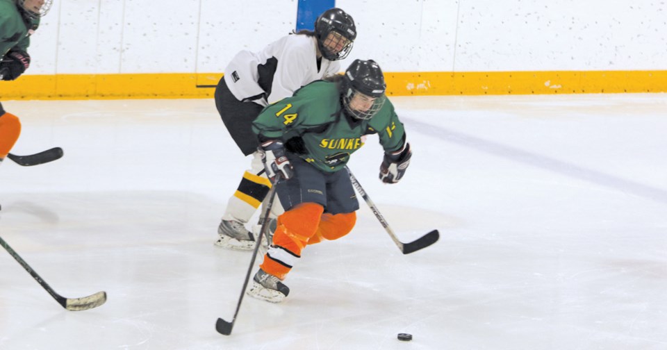 Lanigan charity ladies’ hockey tournament