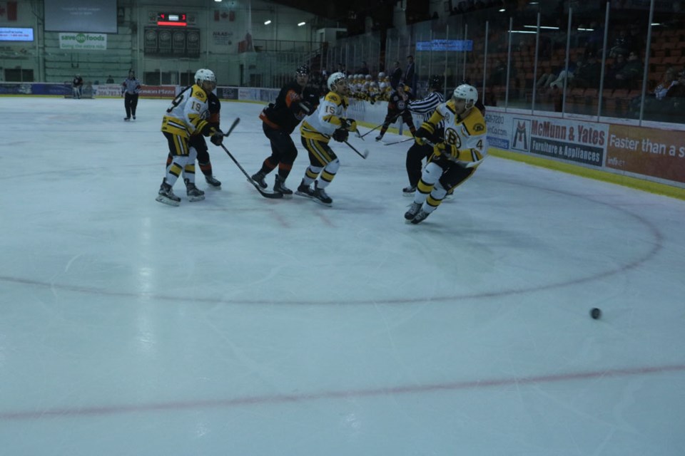 Bruins