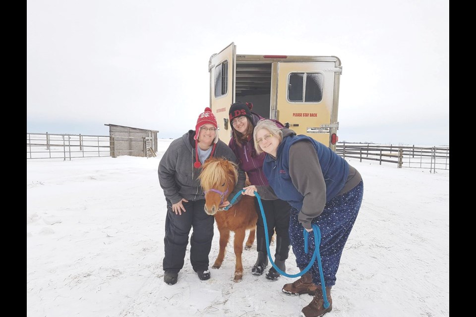 From left, vice-president Laura Stock, board member Jeanita Beauregard and president Rhonda Stock with miniature horse Pinky Pie at the Happy Little Hooves animal sanctuary. Photo submitted