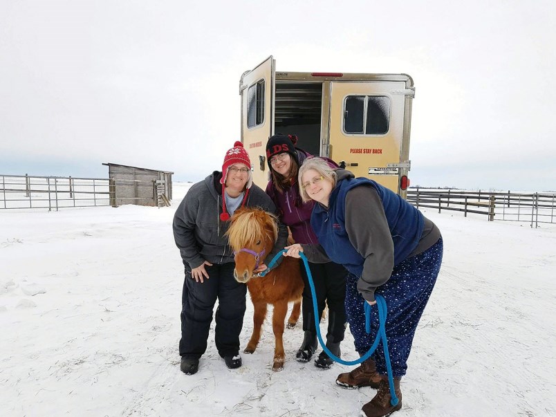 From left, vice-president Laura Stock, board member Jeanita Beauregard and president Rhonda Stock with miniature horse Pinky Pie at the Happy Little Hooves animal sanctuary.