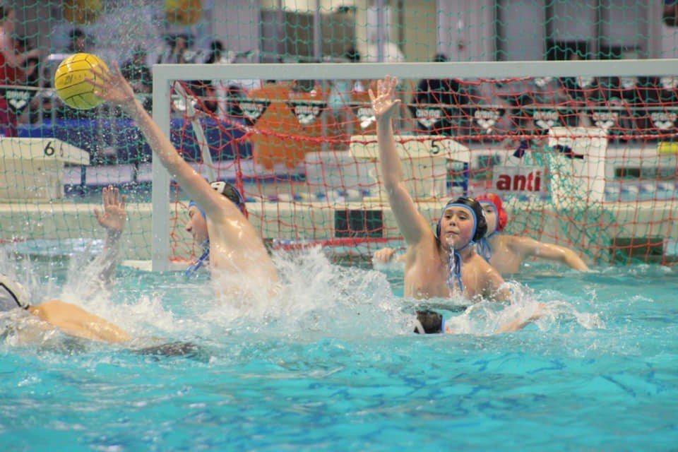 Sharks water polo