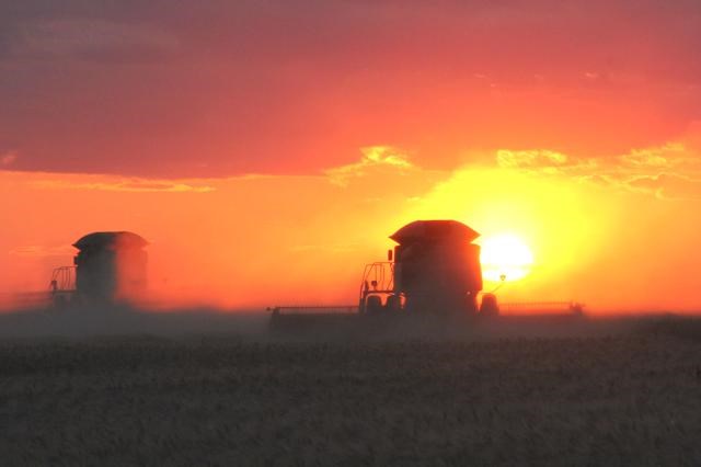 combines at sunset